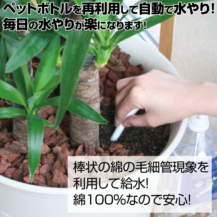 水やり楽だぞう(8本組)ペットボトルキャップ自動給水自動水やり送料無料ポイント消化