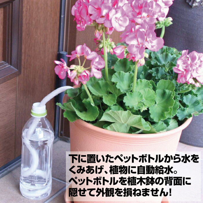 水やり楽だぞう(8本組)ペットボトルキャップ自動給水自動水やり送料無料ポイント消化