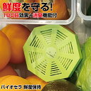 【6日までポイント5倍】【1000円ポッキリ】BIO CERA (バイオセラ) 鮮度保持 野菜保存 冷蔵庫 果物 置くだけ かんたん 節約 日本製 送料無料 ポ...