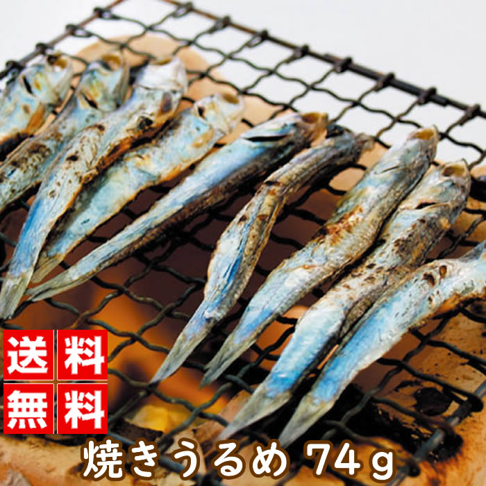 国産 焼きうるめ 37グラム 2袋組｜おかず おつまみ 魚介類 単品 通販 カルシウム いわし イワシ 健康食..