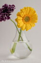 フラワーベース　フィグベース S　花瓶　618-3
