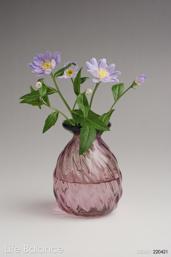 吹きガラス工房　Fuji321　花入　花器　ツートン花瓶　クロスモール　バイオレット