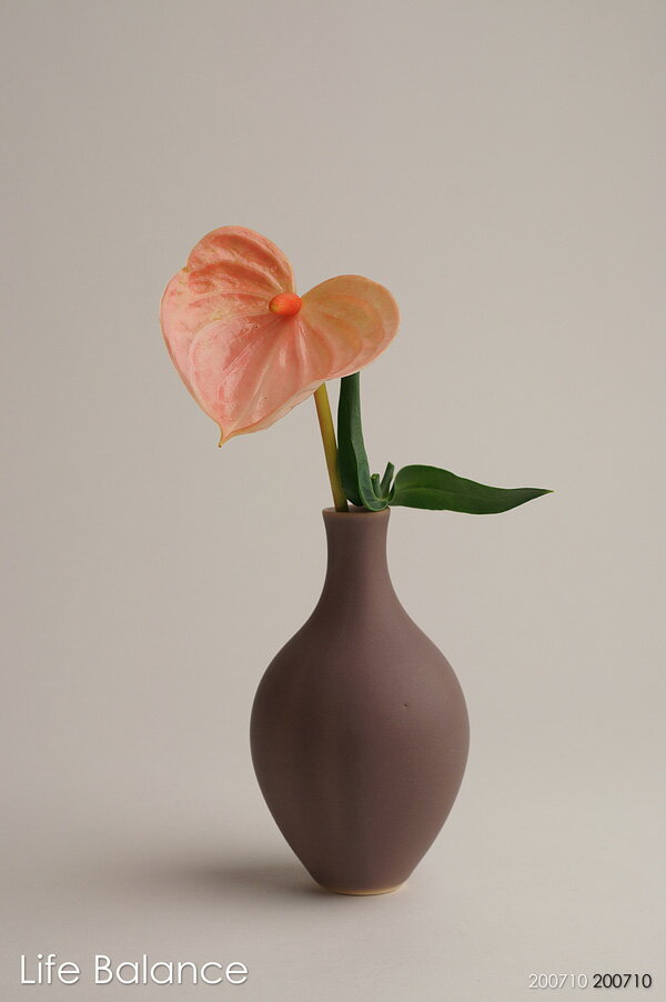 【作山窯】SAKUZAN DAYSシリーズ Sara 12色 花瓶 フラワーベース ブラウン U20221