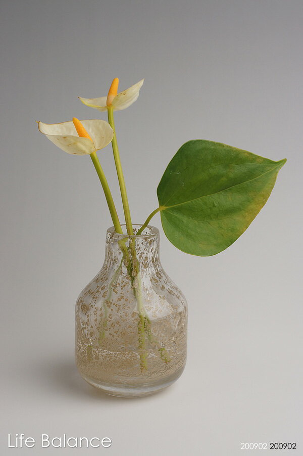 楽天市場】Henry Dean ヘンリーディーン フラワーベース ガラス 花器 花瓶 バルバットXS リンクス 50161 : Life  Balance （ライフバランス）