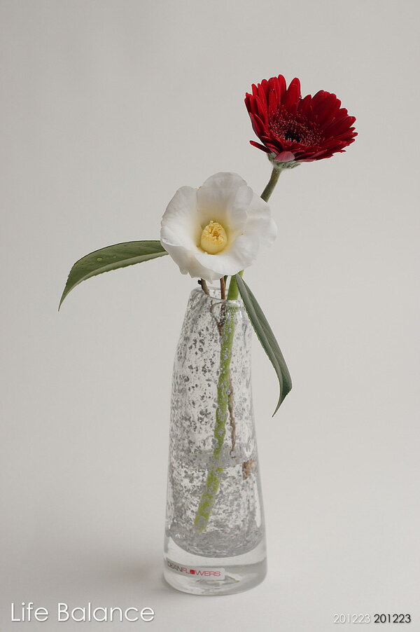 楽天市場】Henry Dean ヘンリーディーン 花器 花瓶 ストロンボリXS ビジュー AT0758 フラワーベース ガラス : Life  Balance （ライフバランス）