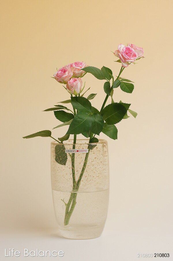 【楽天市場】Henry Dean ヘンリーディーン 花器 花瓶 ジョー 