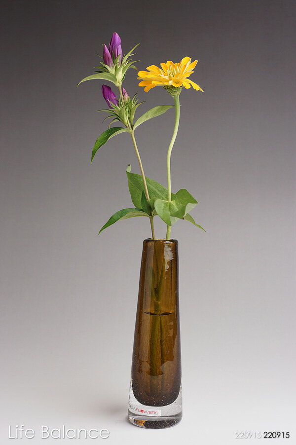 【楽天市場】Henry Dean ヘンリーディーン 花器 花瓶 グラスS 