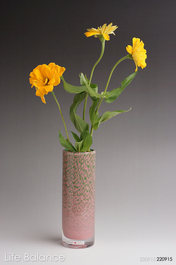 楽天市場】Henry Dean ヘンリーディーン 花器 花瓶 ジョー 楽天市場】Henry Dean ヘンリーディーン 花器 花瓶 ジョー