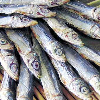 焼きうるめ 40g×10袋 食べる小魚 ウルメイワシ うるめいわし おつまみ 小魚 おやつ