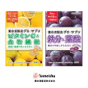 養命酒製造グミサプリ ビタミンC&食物繊維+鉄分&葉酸 養命酒製造 グミサプリ 賞味期限:2026/05/1まで 訳あり 賞味期限間近 フードロス対策