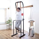 ぶら下がり健康器 ぶら下がり健康器具 ぶら下がりき コンパクト ぶら下がり 健康 器 健康器具
