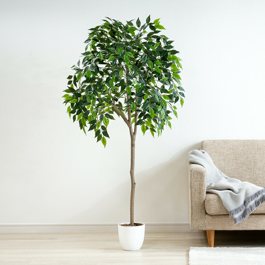 光触媒インテリアグリーン ベンジャミン 人工観葉植物 光触媒 フェイクグリーン 観葉植物 フェイク 大型