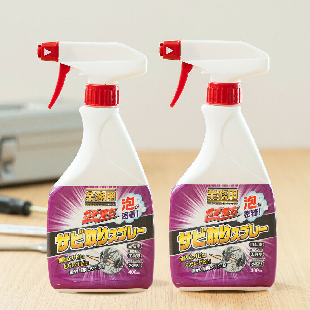 業務用ガチ落ちサビ取りスプレー 2本組 サビ取り サビ取りスプレー サビ落とし スプレー