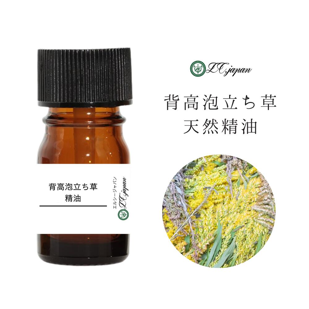 精油 食品添加物 背高泡立草 5ml穂花300本分 和精油 1.5ml 5ml 10ml 30ml 食添 せいたかわだちそう セイタカアワダチソウ アロマオイル エキス 天然 国産 アロマ アトピー 花粉症 エッセンシャルオイル