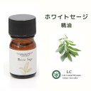 ホワイトセージ オイル 精油 10ml~1L 