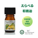 和精油 1.5ml~100ml 選べる 日向夏 へべ