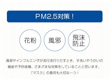 【国内発送】【CE/FDA認証済】新作 マスク 100枚 BFE細菌濾過効率99%カーぜ 大人用マスク 使い捨てマスク 3層高密度 不織布フィルター構造 ウイルス対策 ウイルス 細菌 花粉 敏感肌 花粉対策 花粉予防 マタニティ ハウスダスト ウイルス飛沫 PM2.5 カットフィルター