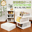 最大P20倍★P10倍 0/5限定★新作 折り