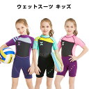 楽天Life Corner60％OFF＼p5倍★最大2000円OFF／入学祝い ウェットスーツ キッズ 子供 女の子 ダイビング用 厚さ 2.5mm 色 耐久性 保温性 おしゃれ UVカット 日焼け防止 長袖 水着 ビーチ 海水浴 サーフィン 水泳 シュノーケリング ラッシュガード お中元 プレゼント アウトドア最適