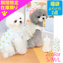 【夏服 福袋 選べる2点で1800円】 犬 