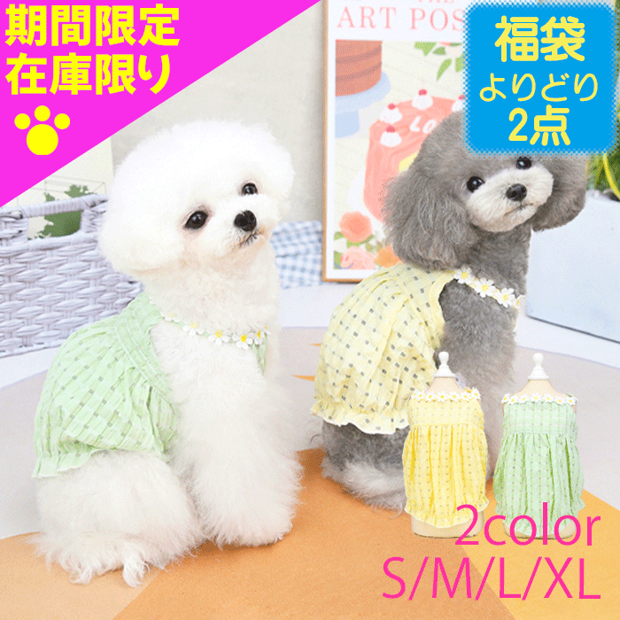 【夏服 福袋 選べる2点で1800円】犬 