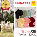 【春物がお値打ち 33%OFF】 犬 春 ニット 春物ニット 春服 春物 冬服 服 冬 カラフル 犬服 ベーシック 犬の服 犬洋服 犬用服 お散歩 洋服 可愛い...