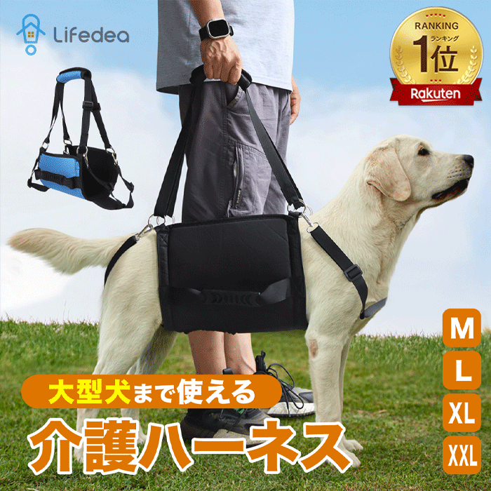   ϡͥ 緿 淿     ϡͥ ѥϡͥ ϡͥ  ȥϡͥ ...