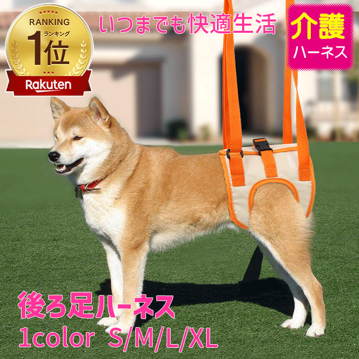      ­ϡͥ    ϡͥ ϥӥ  ­ ɥåϡͥ Ϸ ˥ ...