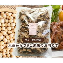 コッチラボ SOY FILLET ソイフィレ 大豆ミート 2