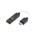 iFi-Audio アイファイオーディオ GO link スティック型DACアンプ 有線イヤホン ヘッドホン 直挿し 3.5mm USB タイプC USB-A Ligthning 変換 PC Mac iPhone