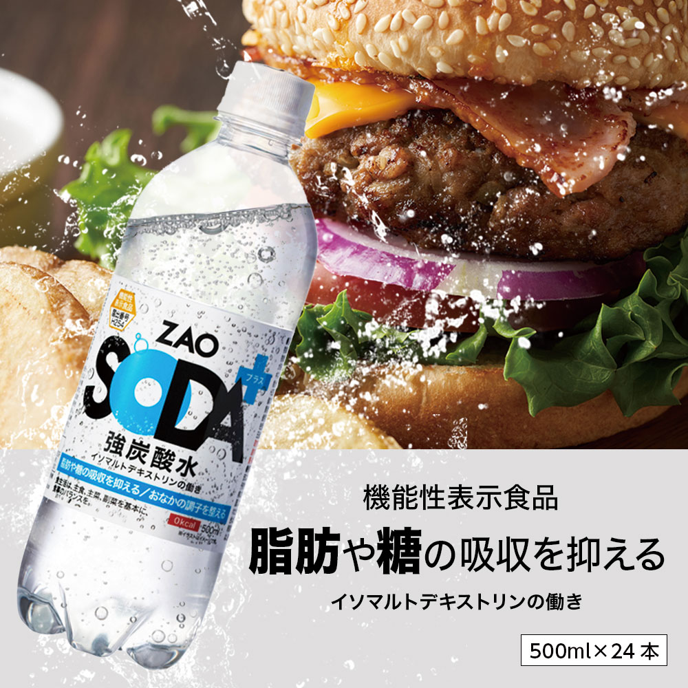 炭酸水 ZAO SODAプラス 500ml 24本 脂肪 糖 整腸 機能性表示食品 送料無料 強炭酸 炭酸 無糖 機能性 プレーン 箱買い ライフドリンクカンパニー LIFEDRINK