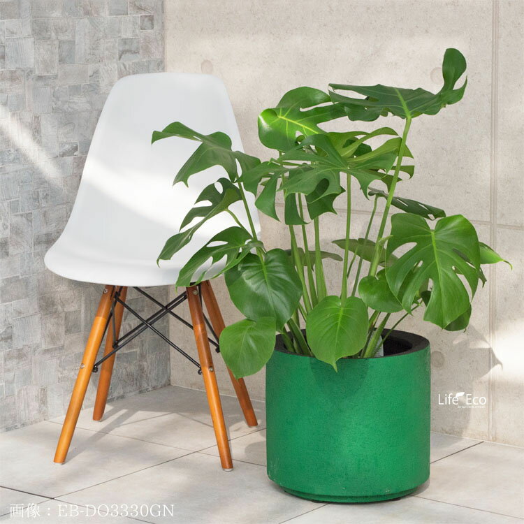 ����ȭ �緿 ����FRP�� �ɥ����ѡ� ���꡼����С�/ ��43cm��H38cm��14���