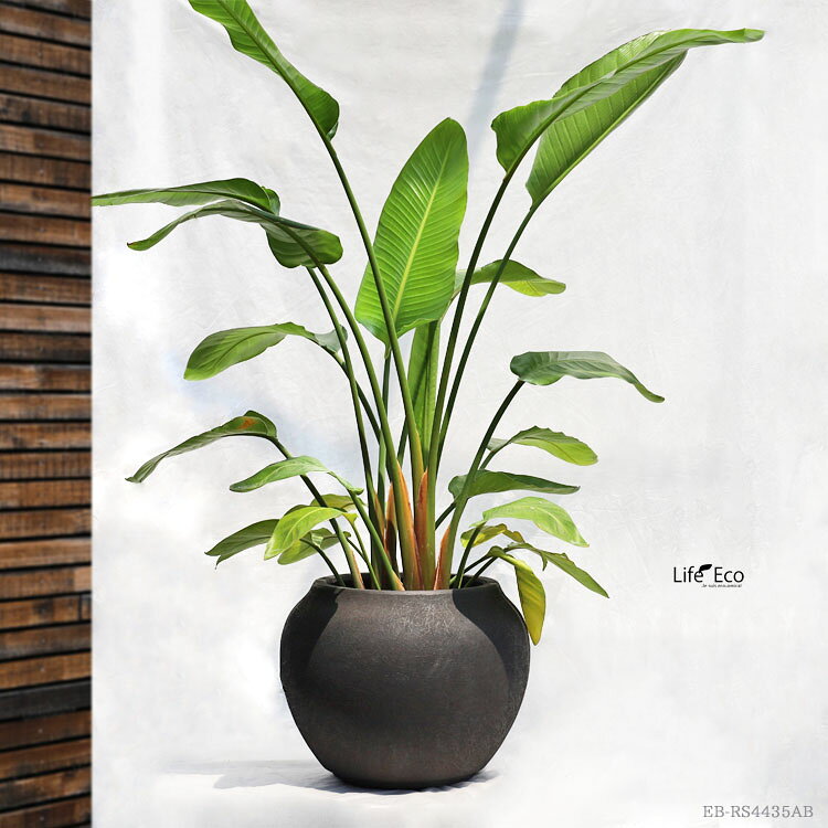 植木鉢 軽量大型 FRP製 ルノ シャロージャー アンティークブラック（黒） / φ44cm×H35cm（15号）
