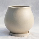 植木鉢 釉薬陶器製インテリアポット オーラ クリーム φ26cm×H24cm(9号)