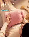 湯たんぽ 在庫処分特価 お湯 注水式 2L かわいい カバー付き エコ ゆたんぽ 防寒グッズ 送料無料
