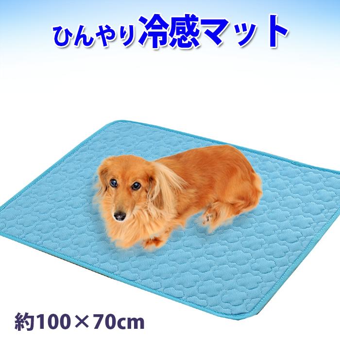 ペット ひんやり グッズ ペット クールマット xlサイズ ペット ひんやり マット ベット ペット用品 犬 冷却マット 犬 猫 冷感マット ペットマット 涼しい 犬クールマット ひんやりマット ペットシート 熱中症対策 100cm×70cm×0.5cmのサムネイル