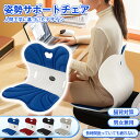 【楽天 1位】【高反発】姿勢矯正チェア 骨盤サポート 肩こり/反り腰対策 姿勢が良くなる 耐荷重100kg 軽量 持ち運び便利 自宅/アウトドア両用