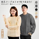 ニット セーター 長袖 メンズ セーター レディース クルーネック ストレッチ ケーブルニット 厚手 防寒 暖かい 無地 おしゃれ 柔らかい ゆったり 秋冬