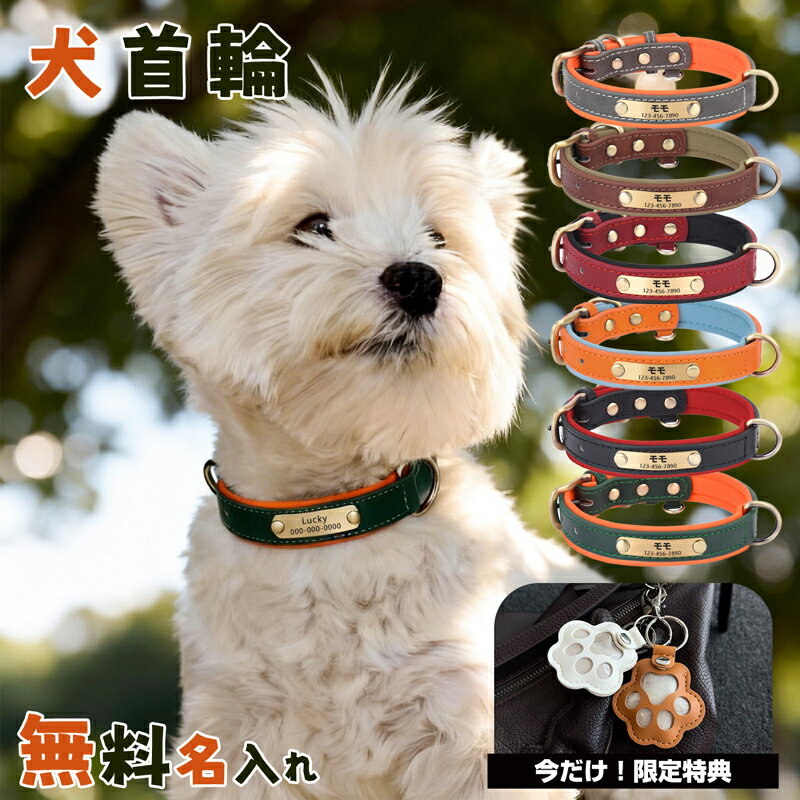 犬用 首輪 ハーフチョーク [レッドバンダナ] 抜けない 抜けにくい 抜け 防止 しつけトレーニング 引っ張り防止 すり抜け防止 可愛い おしゃれ 小型犬 中型犬 大型犬 Up Country アップカントリー