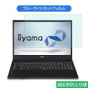 楽天ライフイノテック　楽天市場店iiyama STYLE-15FH050 15.6インチ 対応 ブルーライトカット フィルム 液晶保護フィルム 反射防止 アンチグレア