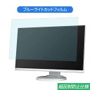 NEC MultiSync LCD-E241N 23.8インチ 対応 ブルーライトカット フィルム 液晶保護フィルム 反射防止 アンチグレア