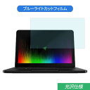 Razer Razer Blade RZ09-01953J73-R3J1 14インチ 16:9 対応 ブルーライトカット フィルム 液晶保護フィルム 光沢仕様