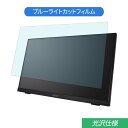 EPSON DIRECT LT22W81L 21.5インチ 対応 ブルーライトカット フィルム 液晶保護フィルム 光沢仕様