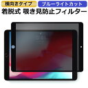 【ポイント2倍】 iPad 9.7 インチ 対応 （横向タイプ） 覗き見防止 着脱式 プライバシーフィルター ブルーライトカット保護フィルム 反射防止 粘着式 タッチスクリーン対応