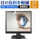 17インチ 5:4 ブルーライトカット フィルム 液晶保護フィルム デスクトップ パソコン モニター PC 用 反射防止 パネル 画面保護フィルム ディスプレイ保護 (337mm x 270mm) 透明