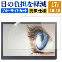 ＼5日はポイント最大5倍／ 32インチ ブルーライトカット フィルム パソコン 液晶保護フィルム パネル 反射防止 指紋防止 気泡レス加工 メール便 送料無料