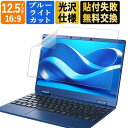 12.5インチ 16:9 ブルーライトカット フィルム パソコン PC 液晶保護フィルム PC モニター 画面保護フィルム 光沢仕様 透明 (277.5mm x 155.5mm)