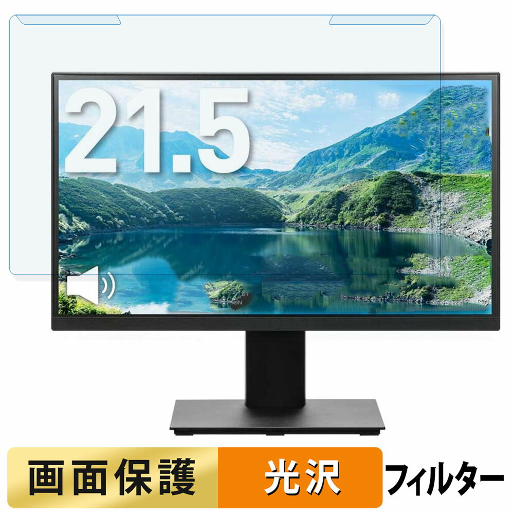 곰ñ PRINCETON PTF-H221W-BK 21.5 16:9  ֥롼饤ȥå ե륿  վݸ ץƥ