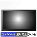 【ポイント2倍】 ATOTO X10 向けの 保護フィルム ブルーライトカット フィルム 【反射低減】 日本製