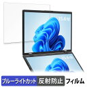 【ポイント2倍】 ITPROTECH LCD15HC-IPSDUAL ( メインディスプレイ ) 向けの 15.6インチ 16:9 ブルーライトカット フィルム 液晶保護フィルム 【反射低減】(2)